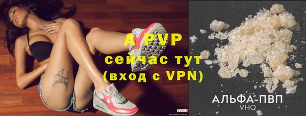 спиды Абаза