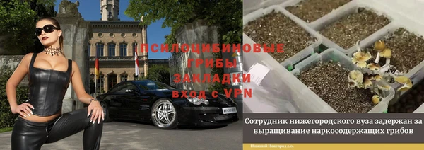 меф Алексин