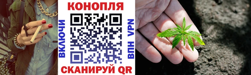 Конопля сатива  mega маркетплейс  Тюмень  где купить наркоту 